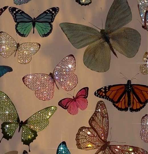 papel de parede aesthetic borboleta feminino fofo